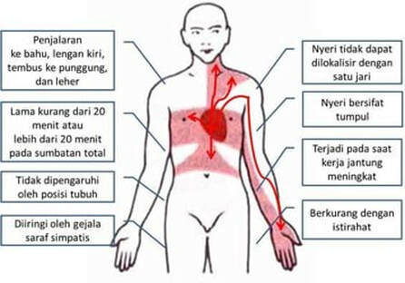 Artikel Kesehatan Rsu Bhakti Rahayu Denpasar